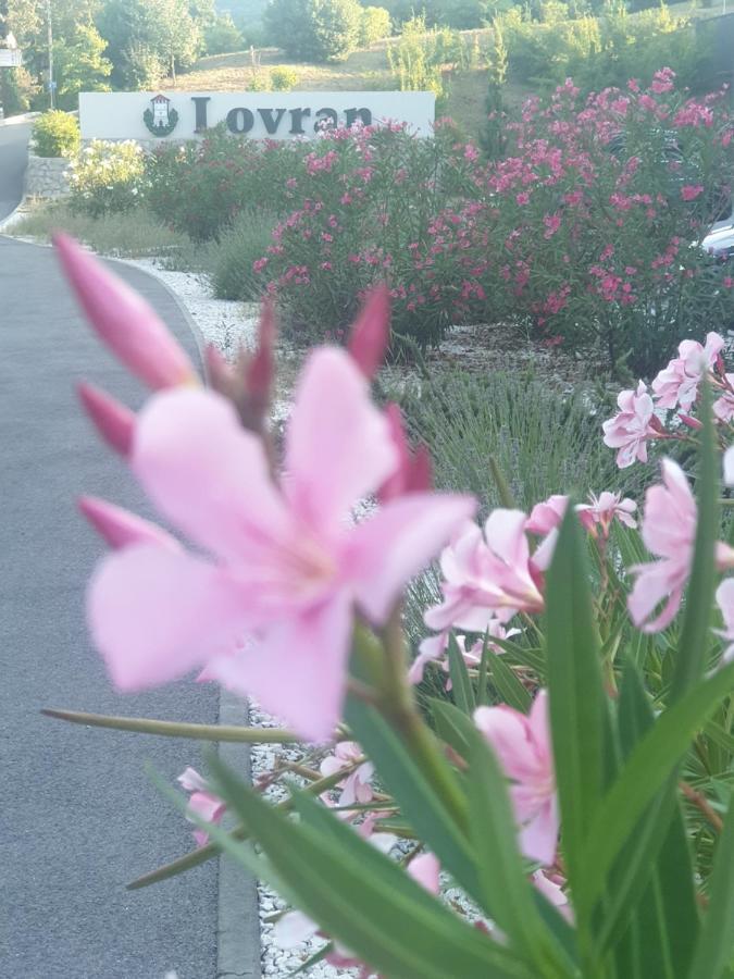 Apartment With Direct Sea View, Free Parking And Close To Beaches And Promenade Ловран Экстерьер фото